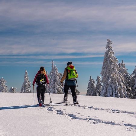 Schwarzwaldhorst Fewo 2 - Mit 4 Schlafzimmer - Todtnau, Liftverbund Feldberg Exterior foto